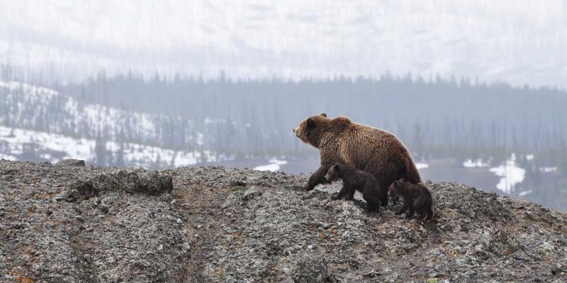 中国旅游48小时：浓缩历史文化与自然风光的精华旅行攻略