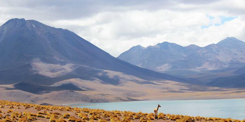 中国旅游66条黄金路线：自然风光与深度体验全攻略