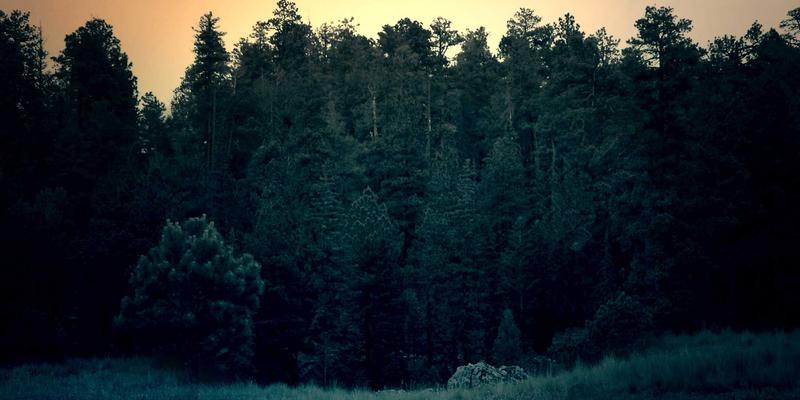 中国旅游88：精选自然风光与深度旅行攻略