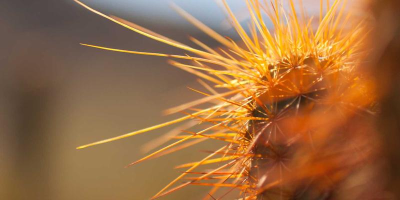 中国旅游是什么？从千年文明到现代奇观的沉浸式探索