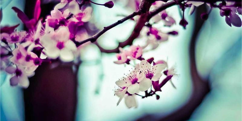 中国草原深度体验：呼伦贝尔、那拉提、祁连草原游玩全攻略 | 历史文化与景点推荐