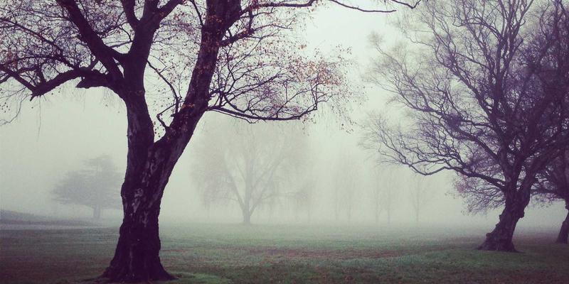 中国高铁旅游全攻略：如何利用高铁网络高效玩转多个城市，深度体验景点推荐与历史文化