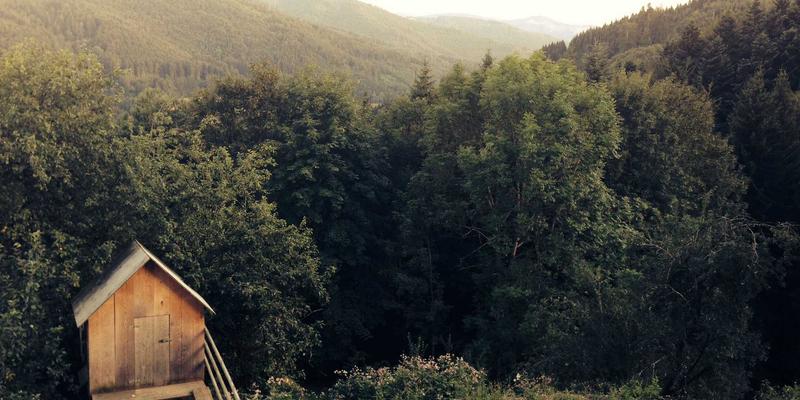 华夏游：五一假期中国旅游全攻略，解锁必去景点与深度体验