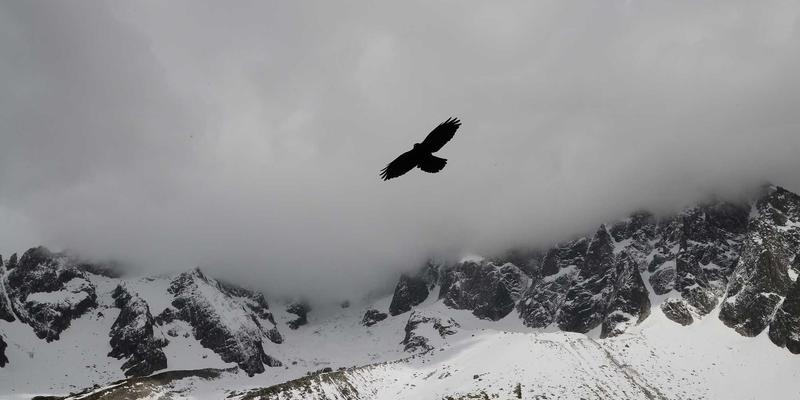 华夏游：探索中国自然风光的终极旅行攻略