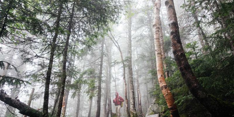 华夏游新地标：打卡上海中心、广州塔、北京大兴机场，领略中国现代建筑奇观