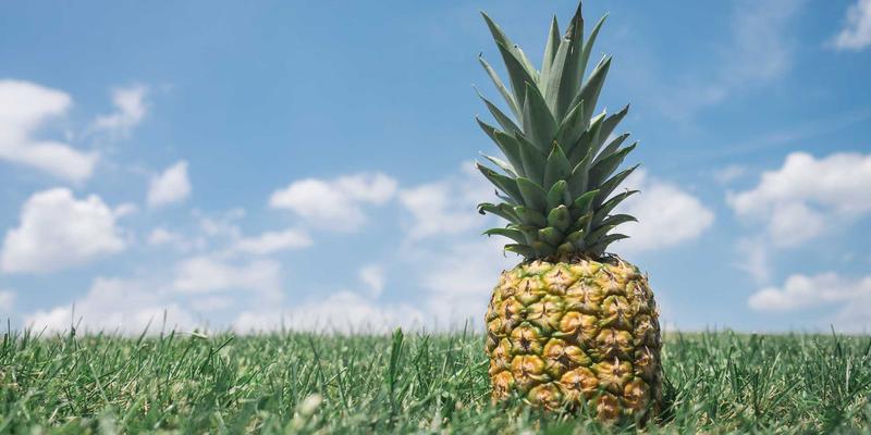 华夏游新视角：从沈阳铁西到重庆工业博物馆，探寻中国工业遗产旅游的城市记忆之旅