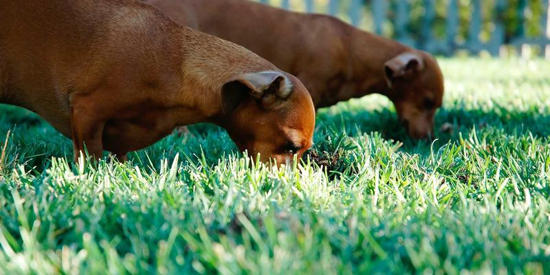 华夏游新视角：探秘丹东、满洲里、瑞丽三大边境城市的异域风情